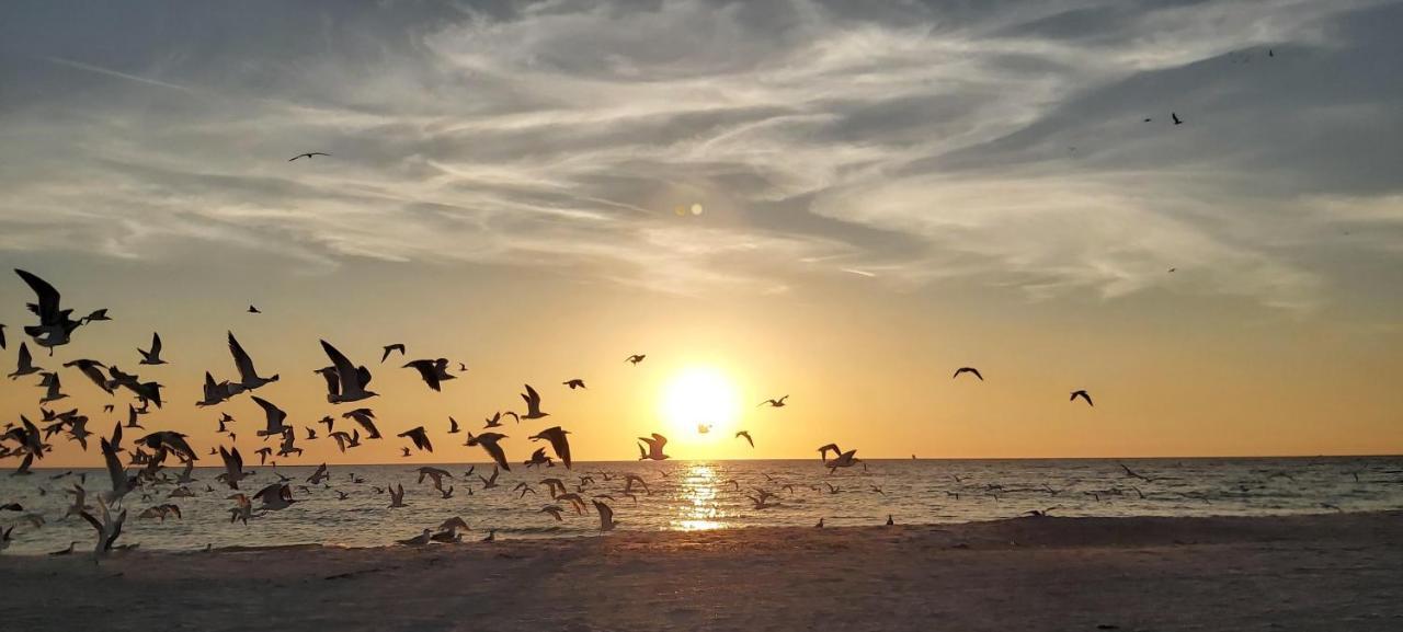Willa Sunset Vistas 206S St. Pete Beach Zewnętrze zdjęcie